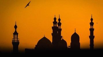 الإسلام يحارب الأنجاس ولا يحارب الأجناس