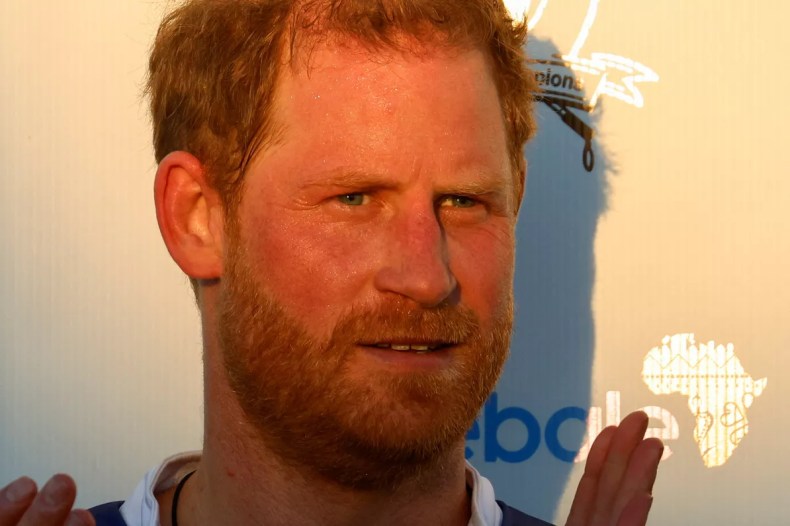 La justice britannique rejette un appel du prince Harry sur la prise en charge de sa sécurité