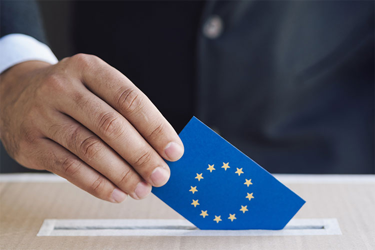 Algerian Moves In The Run-Up To The European Parliament Elections