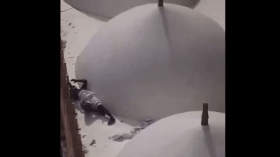 بالفيديو.. معتمر يلقي بنفسه من الأدوار العلوية للمسجد الحرام والأمن يحقق في الواقعة!