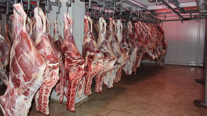“ألفيار” توسع قائمة مورديها الأجانب بالأغنام الموجهة للذبح والتسمين