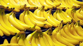 سنراقب سوق الموز.. والوفرة أقوى سلاح ضد المضاربة