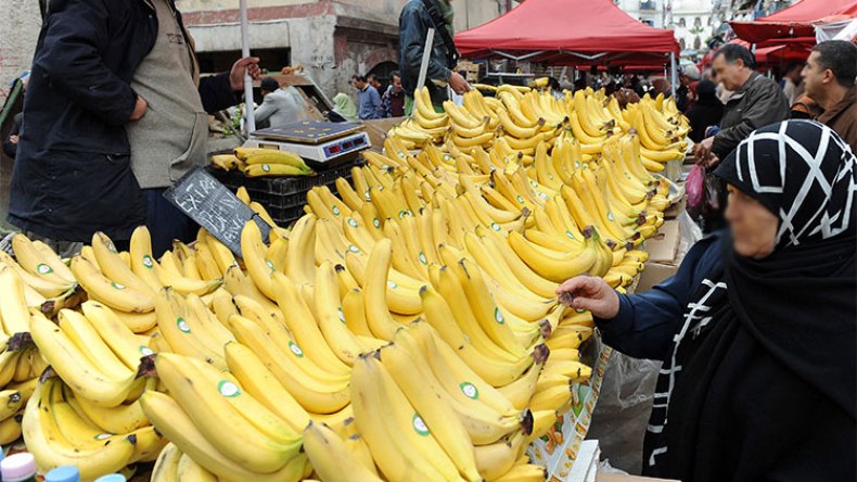 زيتوني: سنطبق قانون المضاربة على تجارة الموز