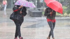 BMS: Des pluies à partir de lundi soir sur plusieurs wilayas