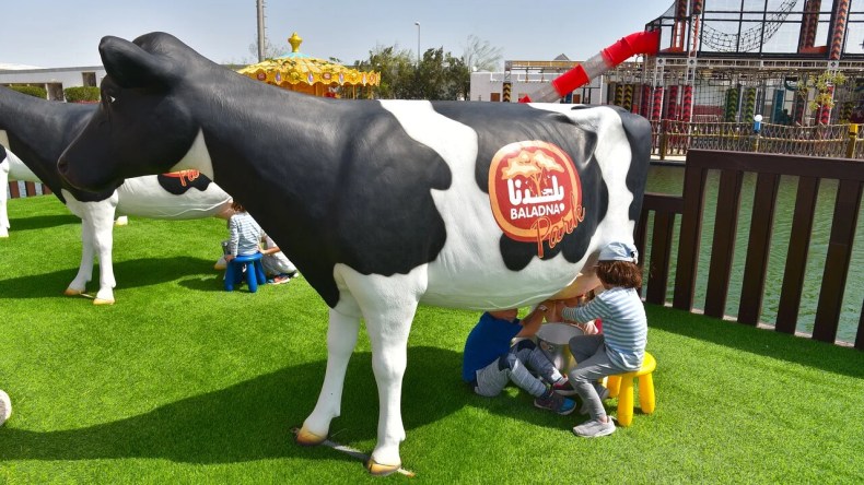 هذه قصة نجاح “بلدنا” القطرية في إنتاج الحليب