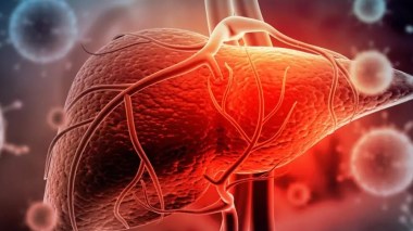 OMS: Les virus de l’hépatite font encore 3.500 morts par jour