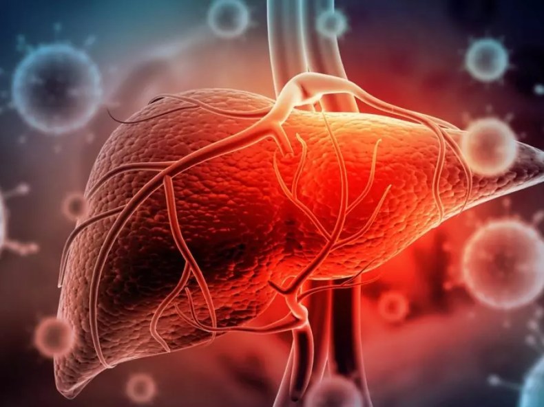 OMS: Les virus de l’hépatite font encore 3.500 morts par jour