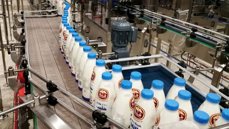 هذه تفاصيل مشروع “بلدنا” القطري لإنتاج الحليب المجفف بالجزائر