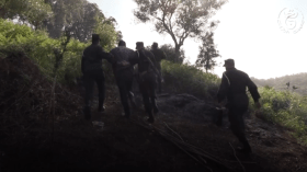 الدرك الوطني يوقف 3 أشخاص يضرمون النار في غابة بسكيكدة (فيديو)