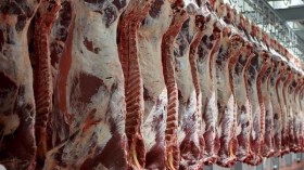 تسقيف هوامش الربح في أسعار لحوم الأغنام والأبقار المستوردة