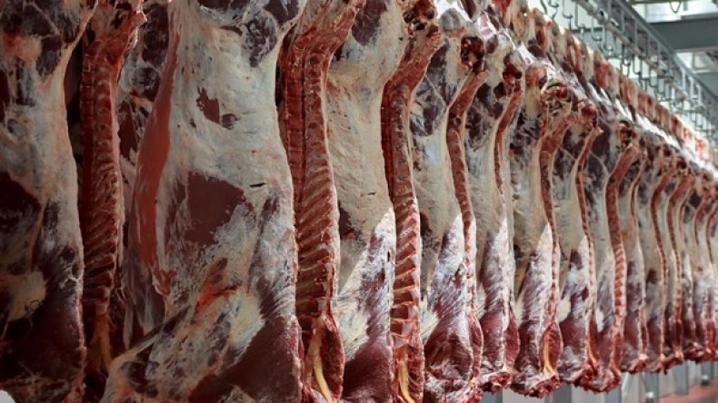 تسقيف هوامش الربح في أسعار لحوم الأغنام والأبقار المستوردة