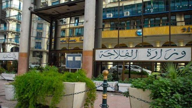 شركة إيطالية تتحصل على عقد امتياز لمشروع الحبوب والبقوليات بتيميمون