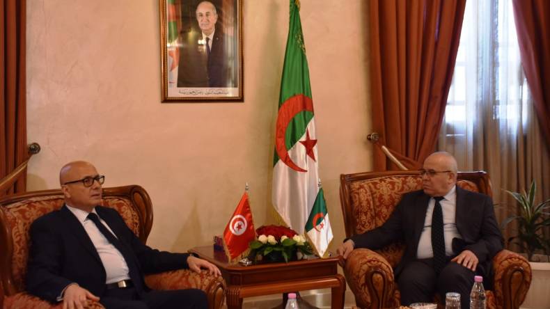وزير الفلاحة يبحث مع نظيره التونسي فرص التعاون