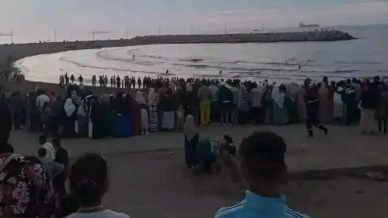 الرئيس تبون يعزّي عائلات ضحايا “فاجعة الصابلات” بالعاصمة