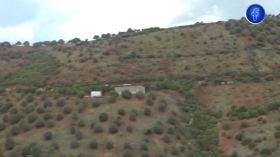 يمتد على 10سنوات .. سونطراك تطلق مشروعا ضخما بغرس 420 مليون شجرة