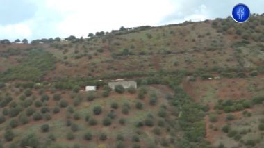 يمتد على 10سنوات .. سونطراك تطلق مشروعا ضخما بغرس 420 مليون شجرة