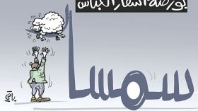 أسعار الكباش!