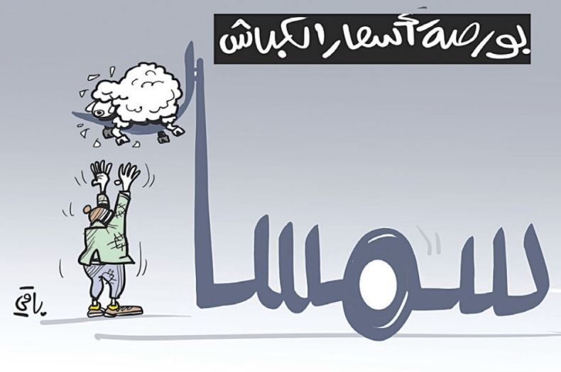 أسعار الكباش!