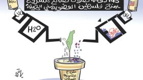 عضوية فلسطين!