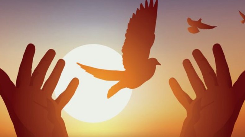 الحرّيات: الحق الذي أريد به باطل