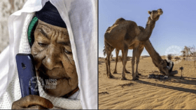 صورتان جزائريتان ضمن أحسن 10 صور فوتوغرافية في العالم
