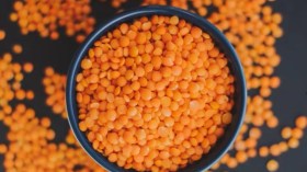 العدس البرتقالي يحارب الجذور الحرة والإجهاد التأكسدي