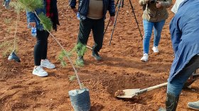 البيئة والمواطنة تطلق حملة تشجير لصيف أخضر