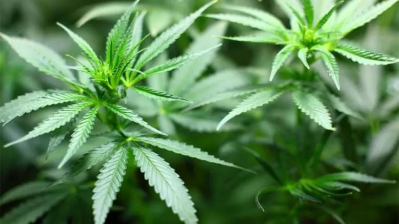 أخبار الجزائر ليوم الإثنين 27 ماي 2024