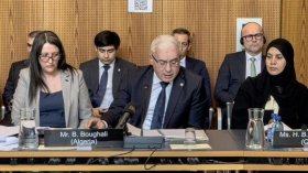 بوغالي يقترح إنشاء لجنة برلمانية إستشارية على مستوى الأمم المتحدة