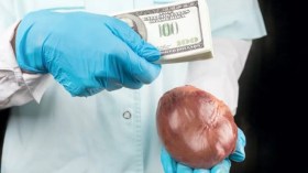  حادثة مرعبة تهز مصر.. أم تخدّر ابنها وتصوره عاريا لبيع أعضائه!