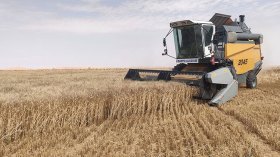 يمكن تحقيق 80 قنطارا من القمح في الهكتار بحلول بسيطة!