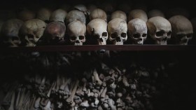 الغرب والإنسانية المتوحشة