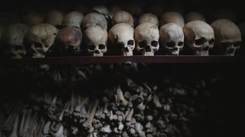 الغرب والإنسانية المتوحشة