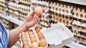 5 شروط يجب مراعاتها عند شراء البيض