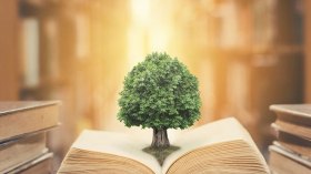 علاقة التربية بالأخلاق الاجتماعية