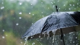 Météo: fortes pluies orageuses sur 9 wilayas