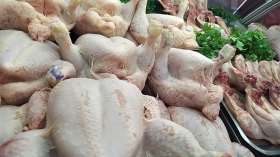 نناشد وزارة الفلاحة لامتصاص فائض اللحوم البيضاء وتخزينه للضرورة