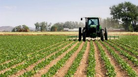 إحصاء ما لا يُعدّ