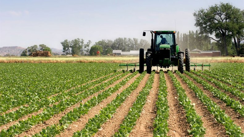 إحصاء ما لا يُعدّ