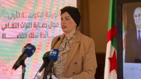 تسجيل 96 قضية أمام العدالة واسترجاع 31507 ممتلك ثقافي منقول