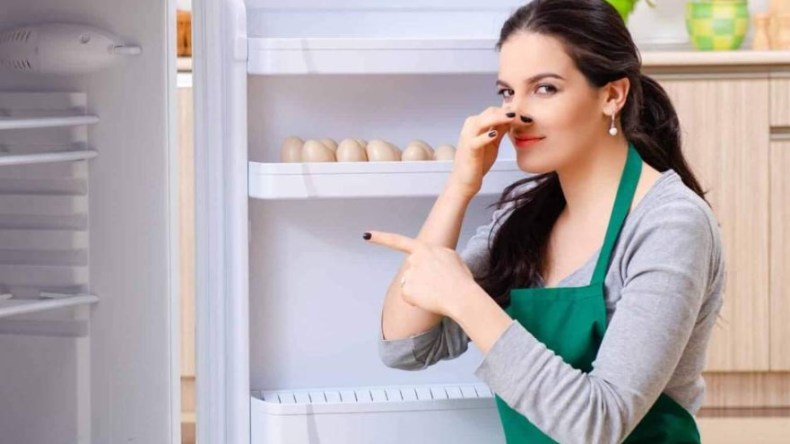 لهذا تعتبر الثلاجة المتسخة أقذر من مقاعد المراحيض؟