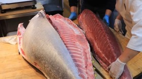 تعرّف على فوائد سمك التونة وطريقة اختياره