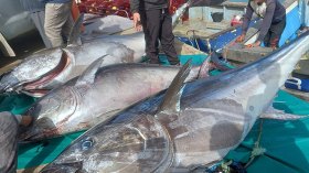 حصّة الجزائر مُعتبرة قد “يُفشلها” سوء التخزين والبيع