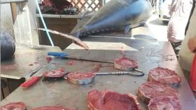 تدني أسعار “التونة الحمراء” يعوض الجزائريين غلاء الأسماك