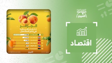 الجزائر تتصدر إفريقيا في إنتاج المشمش والخامسة عالميا