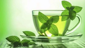 تعرّف على الفوائد الصحية لمنقوع النعناع