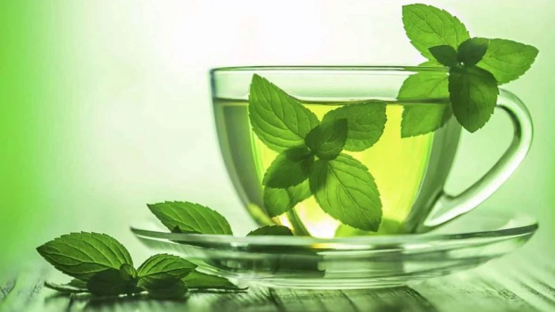 تعرّف على الفوائد الصحية لمنقوع النعناع