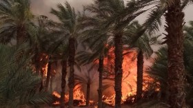 حماية مدنية.. إخماد حرائق غابية ومحاصيل عبر 5 ولايات