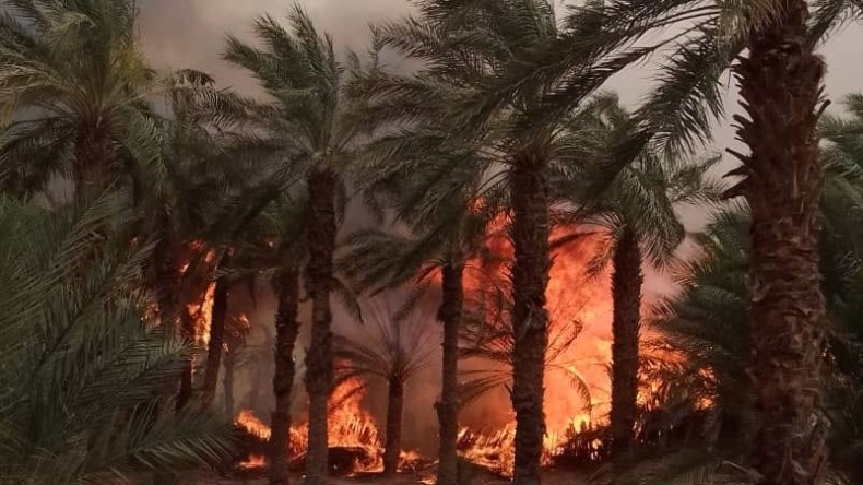 حماية مدنية.. إخماد حرائق غابية ومحاصيل عبر 5 ولايات
