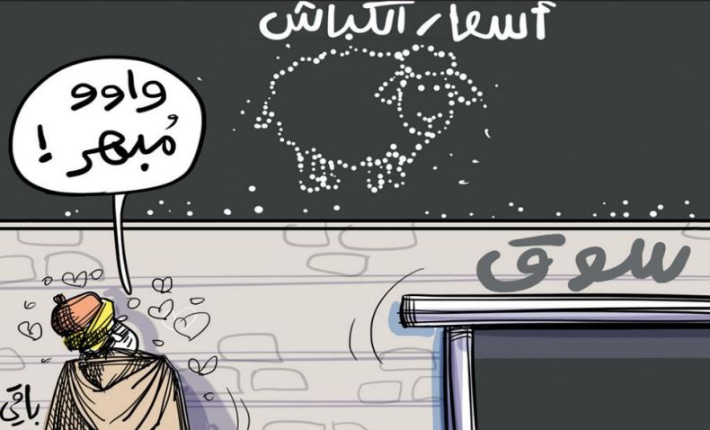 أسعار الكباش!